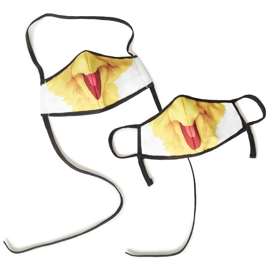 Sesame Street Big Bird Reusable Face Mask Set for Adults & Kids (2-Pack)