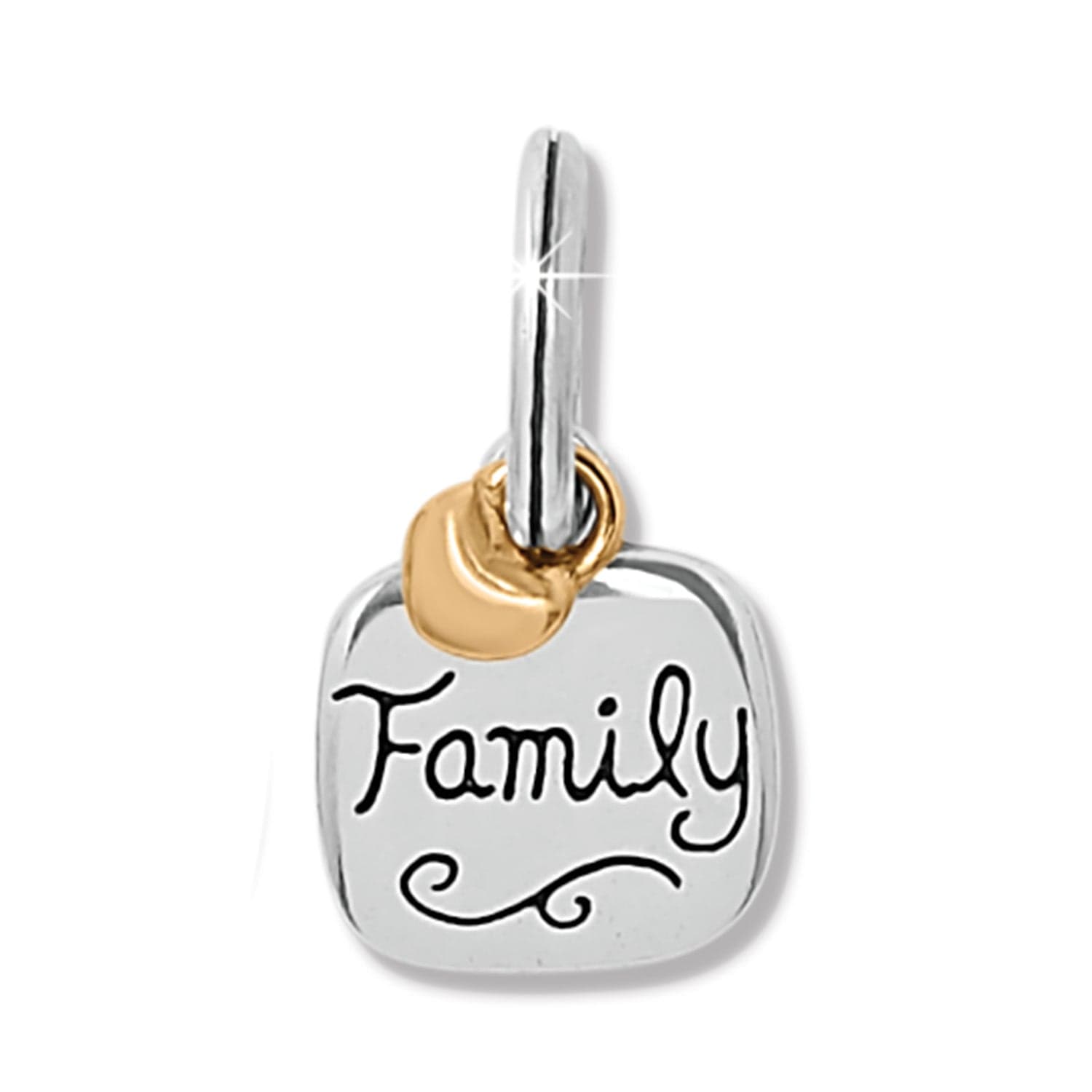 Family Love Charm Necklace - Heartfelt Keepsake Jewelry