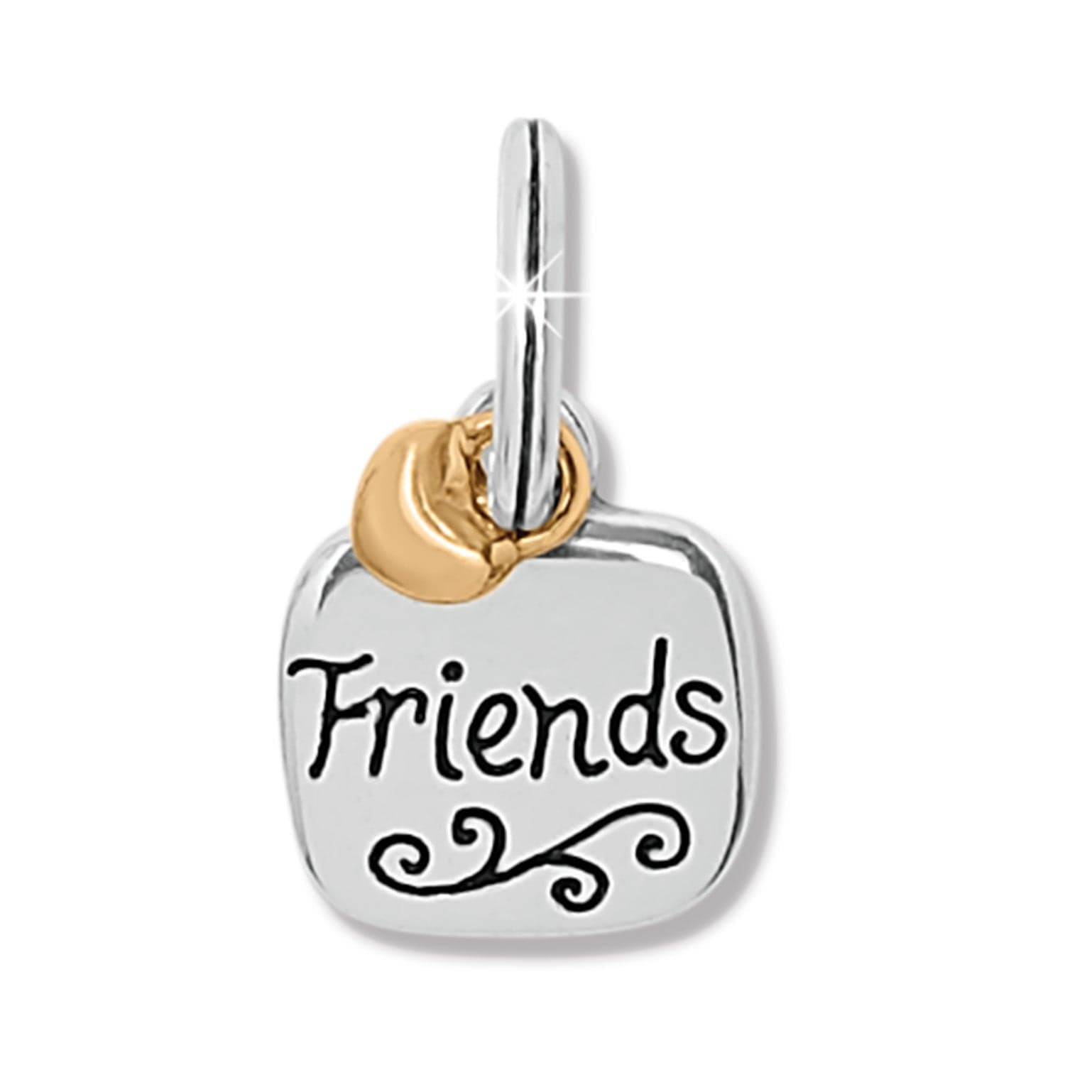 Friends Forever Keepsake Charm - Meaningful Gift for Besties