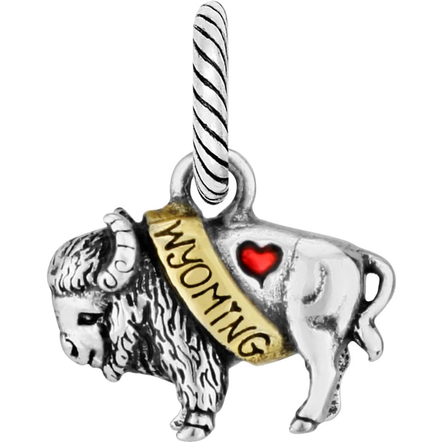 Wyoming Charm Buffalo-Themed Jewelry for Stylish Western Wear