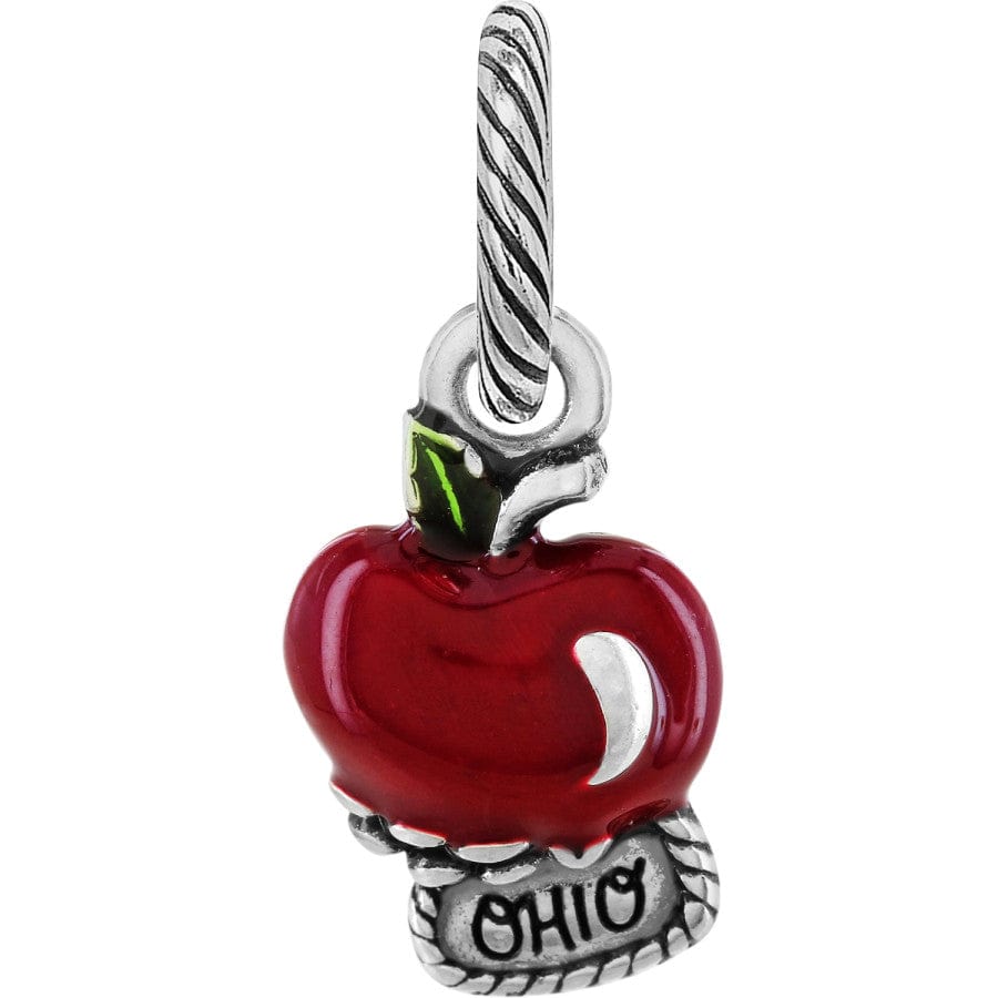 Ohio State Pride Charm - Show Your Love for Ohio