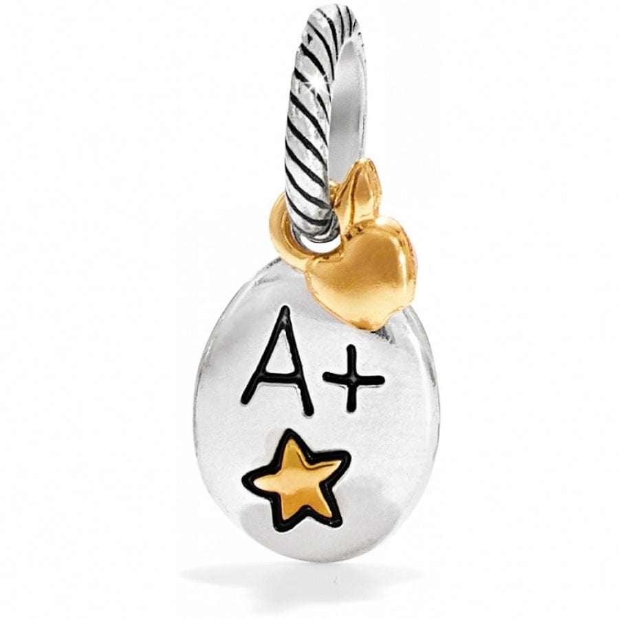 Best Teacher Jewelry Gift - Appreciation Charm for Educators