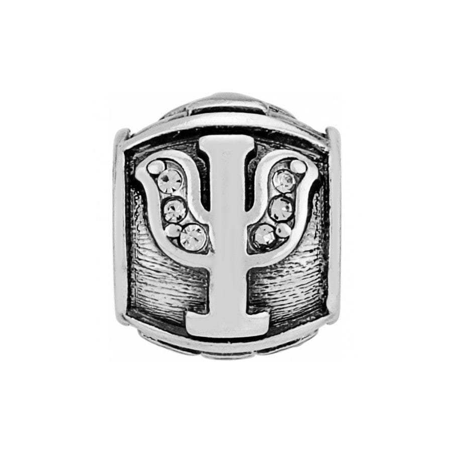 Alpha Psi Sorority Bead for Greek Life Jewelry