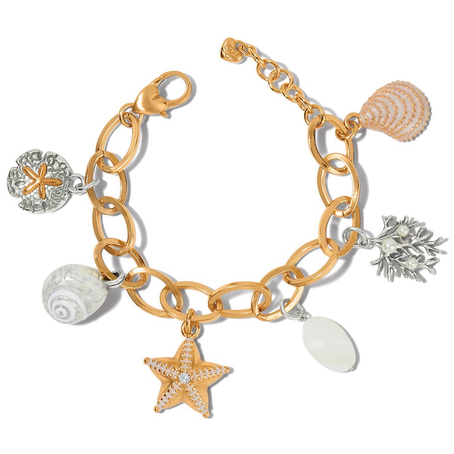 Sunset Cove Seashell Charm Bracelet in Gold