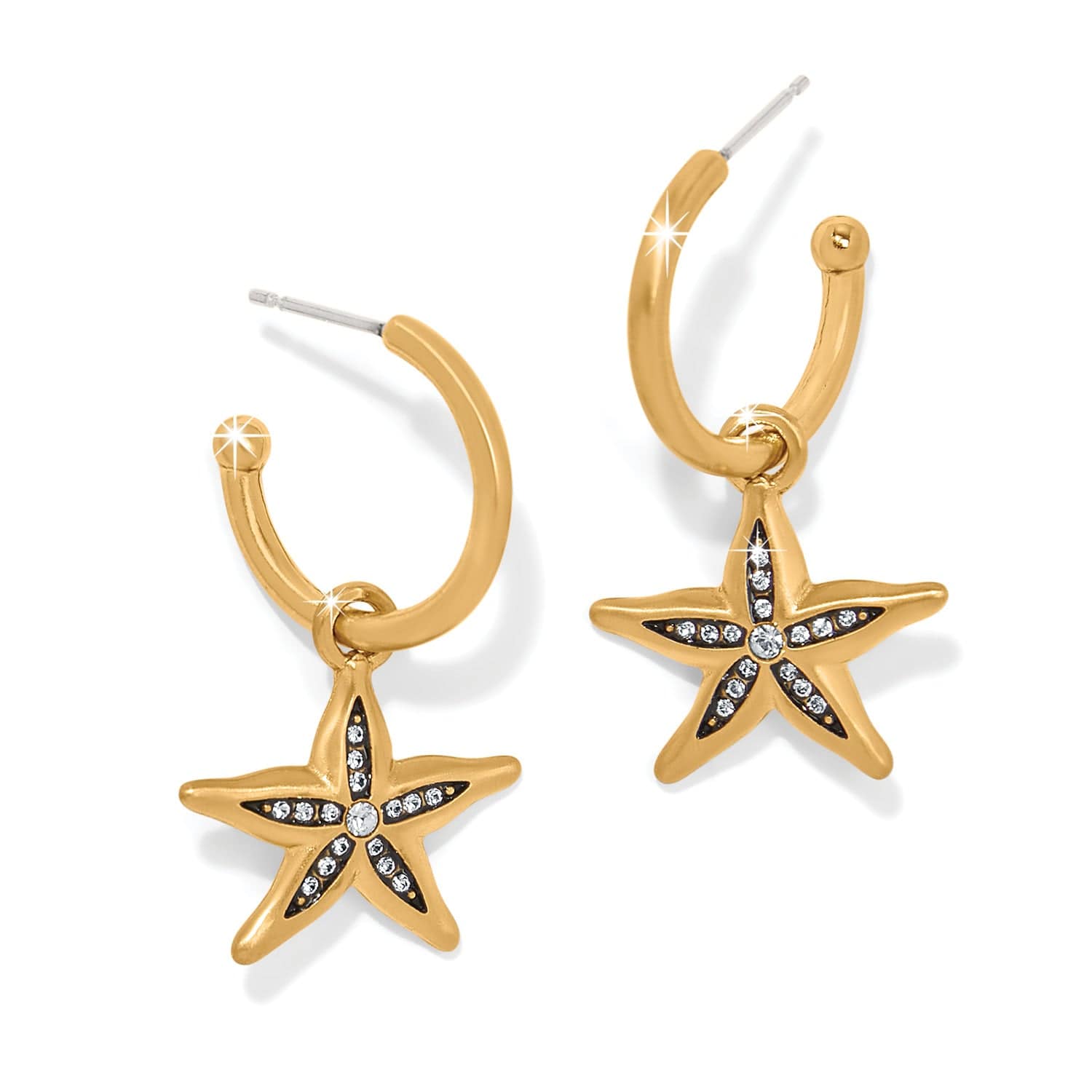 Gold Starfish Hoop Earrings with Black Enamel & Sparkle